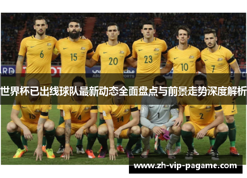 世界杯已出线球队最新动态全面盘点与前景走势深度解析
